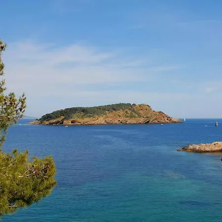 Magnifique - Augusta Du Port - A 50 M Du Vieux Port Et De Ses Animations *